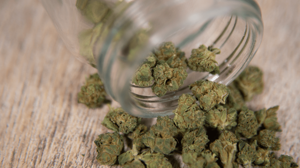 What the Future Holds for White Label Marijuana Beverages